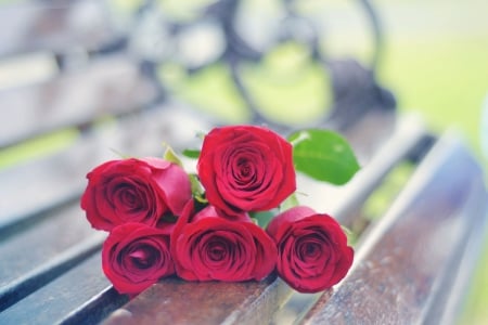 ❀ - pretty, roses, red roses, beauty, red passion, love, flowers, red, floral