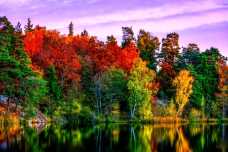 October - nice, autumn, colorful, mirrored, shine, foliage, fall, pretty, reflection, tree, golden, branches, falling, lovely, nature, glow, october, beautiful, leaves, colors