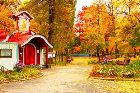 October - nice, autumn, colorful, mirrored, shine, foliage, fall, pretty, reflection, tree, golden, branches, falling, lovely, nature, glow, october, beautiful, leaves, colors