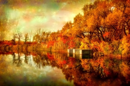 October - pretty, reflection, leaves, golden, nice, falling, branches, beautiful, mirrored, colors, lovely, tree, fall, glow, colorful, nature, autumn, october, foliage, shine