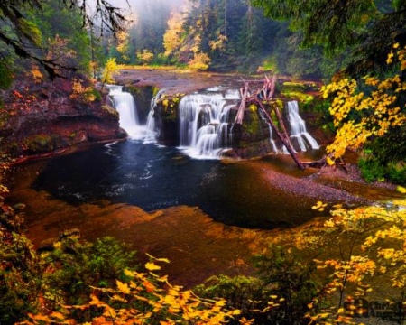 Waterfalls - leaves, nature, waterfalls, trees