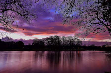 Sunset - nice, sky, sundown, trees, water, sunset, calm, amazing, quiet, reflection, river, r mirrored, branches, lake, clea, lovely, nature, beautiful, colors, sereenity