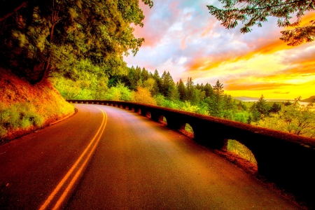 TAKE a TURN... - sky, hdr, trees, road