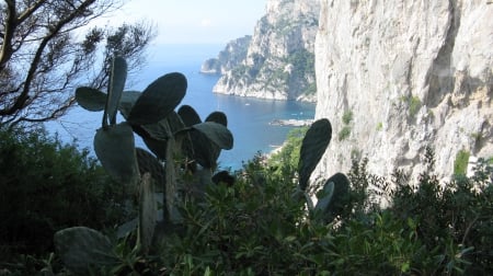 Capri Island - Bluedream, Capri, Amalfi, Italy