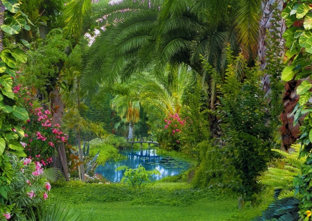 Love corner - nice, paradise, water, greenery, calm, pretty, corner, green, pond, grass, garden, love, lake, park, palms, place, lovely, plants, serenity, nature, beautiful, flowers