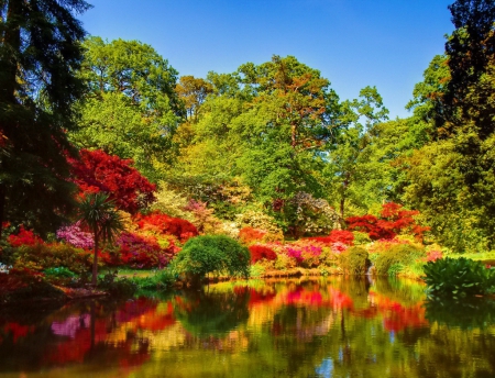 Autumn colors - pretty, calm, quiet, bushes, forest, reflection, shore, lake, nice, sky, trees, water, beautiful, pond, mirrored, lovely, fall, nature, autumn, clear, serenity, park