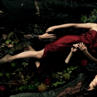 Vampire Diaries (2009-)