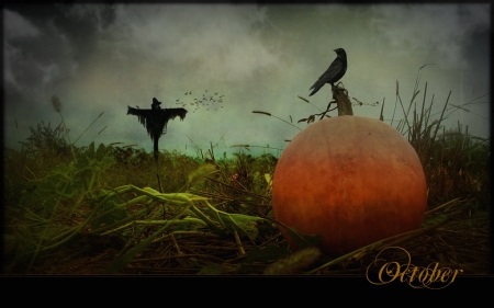 Eerie October - scarecrow, autumn, pumpkin, field, crow, halloween, fall, october, birds