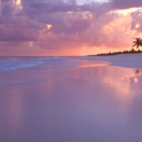 beautiful sunset at the beach