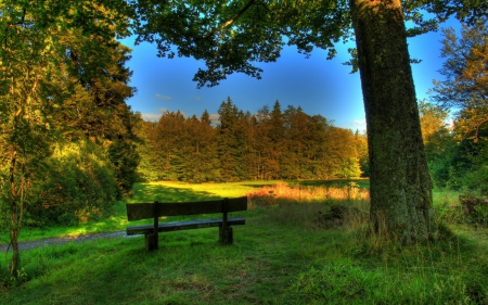 *** Beautiful landscape *** - greens, forest, trees, nature