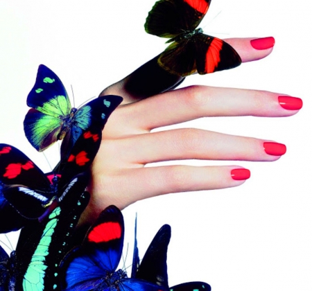 Hands - colourful, butterflies, lady, hands, nail polish