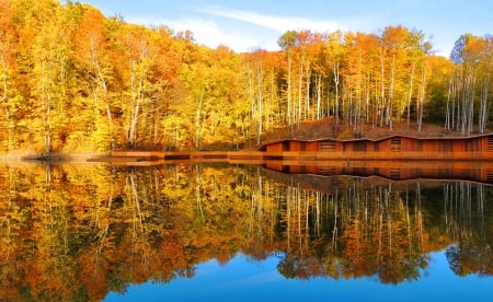 Lake reflections - nice, autumn, sky, trees, water, clear, mirrored, cottages, foliage, reflections, crystal, fall, quiet, yellow, calmness, golden, houses, lake, falling, place, lovely, serenity, nature, forest, beautiful, rest, leaves