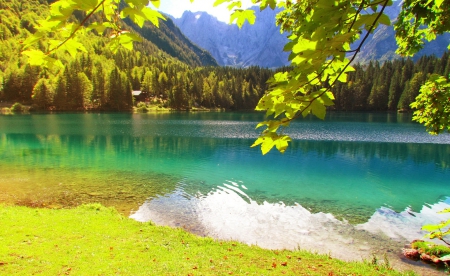 Emerald lake - calm, reflections, blue, cabin, leaves, mountain, shore, lake, nice, emerald, cottage, branches, trees, beautiful, mirrored, lovely, nature, clear, serenity