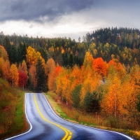 âœ«Road in the Autumnâœ«