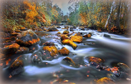 âœ«Leaves Along the Riverâœ« - autumn, trees, photography, creative pre-made, rocks, reflections, rivers, waterscapes, splendid, place, stunning, plants, nature, love four seasons, beautiful, leaves, colors, finland, fall season