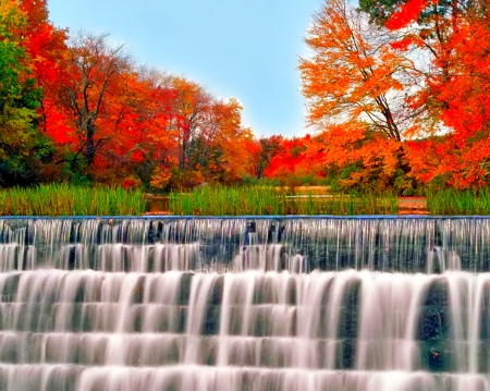 October - nice, autumn, colorful, mirrored, shine, foliage, fall, pretty, reflection, tree, golden, branches, falling, lovely, nature, glow, october, beautiful, leaves, colors