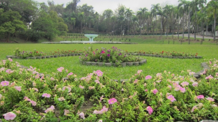 Garden - tree, meadow, garden, flower