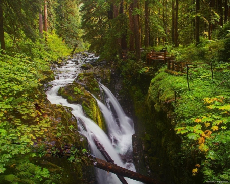 Waterfall in the Forest - Forest, Autumn, Nature, Waterfall