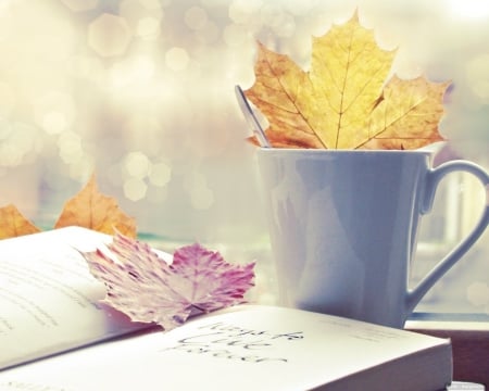 Still Life - Colours, Light, Autumn, Book