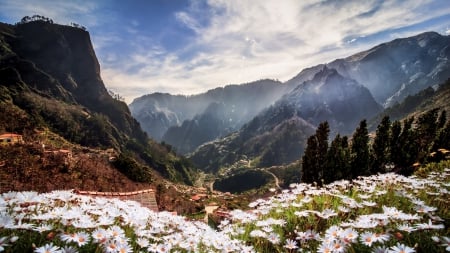 fabulous nuns valley at madeira portugal - flowers, town, fog, mountains, valley