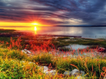 âœ«Reaching Sunsetâœ« - trees, photography, creative pre-made, rocks, reflections, sunsets, waterscapes, grass, splendid, landscapes, sunlight, reaching, plants, stunning, nature, love four seasons, beautiful, scenery