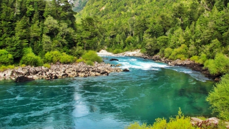 TURQUOISE COLOR RIVER - patagonia, trees, forest, chile, futaleufu, water, green, crystalline