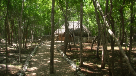 Ek Balam, Yucatan Peninsula - forest, cancun, yucatan, mexico, nature, peninsula