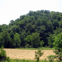 Kentucky Farmland