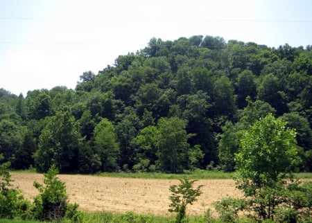 Kentucky Farmland - nature, fields, kentucky, farmland