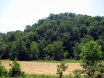 Kentucky Farmland