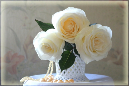 *** White roses *** - white, flower, roses, flowers, nature