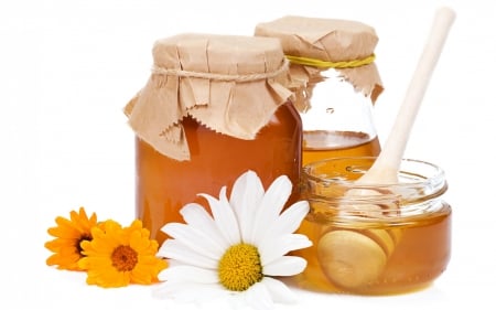 *** Honey *** - sweets, dessert, sweet, food, honey