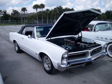 Gto Conv - GM, White, Classic, Pontiac