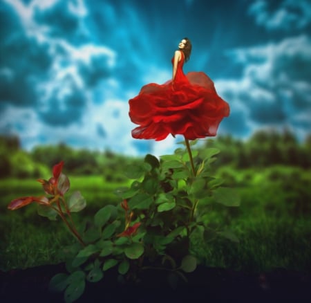 The Beauty of the red Rose - abstract, lady, fantasy, redrose