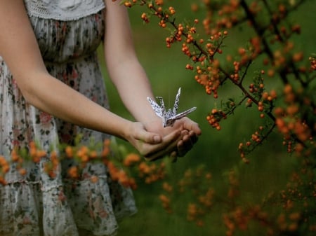 Make my heart flutter - hands, girl, paper butterfly, flower tree, grass