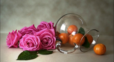 Roses and mandarins - carafe, roses, fruits, smell, mandarins, still life, nature, pink, petals, orange, flowers, natural