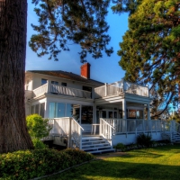 Beautiful House And Trees