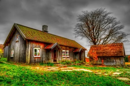 House - october - pretty, reflection, leaves, golden, nice, falling, house, branches, beautiful, mirrored, colors, lovely, tree, fall, glow, colorful, nature, autumn, october, foliage, shine