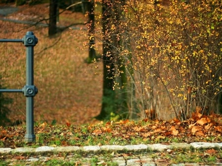 October - pretty, reflection, leaves, golden, nice, falling, branches, beautiful, mirrored, colors, lovely, tree, fall, glow, colorful, nature, autumn, october, foliage, shine