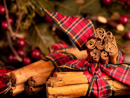 Cinnamon - winter, cinnamon, decoration, christmas