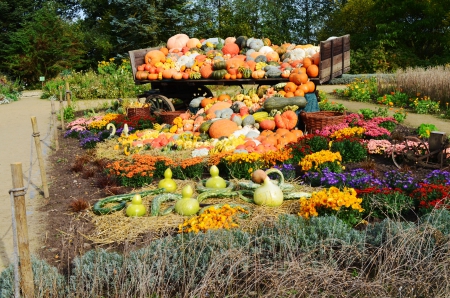 Autumn Decoration - pumpkins, cart, park, colors, flowers