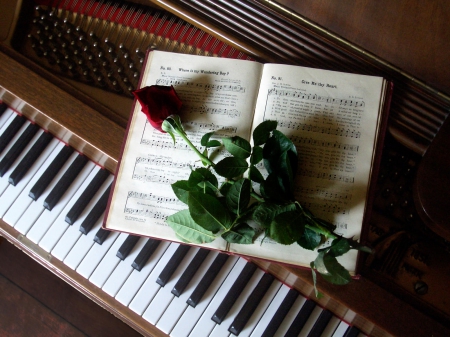 Romantic Time - love, piano, romantic, rose