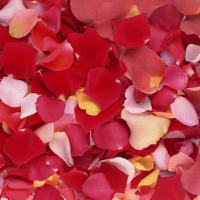 Rose Petals