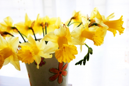 ✿ Thinking of Spring ✿ - vase, yellow, florwers, sunshine, spring, daffodils