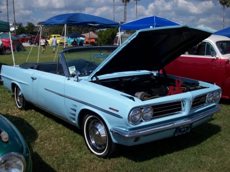 63 Pontiac Conv - lite blue, classic, gm, pontiac