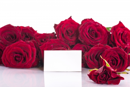 For You - with love, nature, roses, petals, for you, flowers, rose, red roses