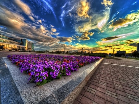 Cloud art - flowers, clouds, street, white, purple, blue, gold, sky