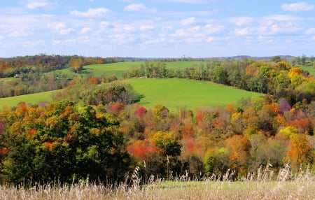 A West Virginia Autumn Day - trees leaves, fall, october, country, grass, sky, hill, west virginia, september, field, nature, autumn