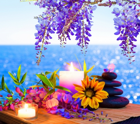 Beauty Flowers - beauty, orchids, beach, sunflowers, water, purple, pretty, tree, cute, ocean, candle, lovely, nature, beautiful, stones, flowers, sweet, sea