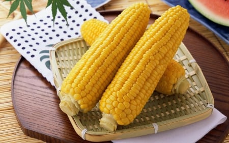 Corn - food, corn, photo, photography